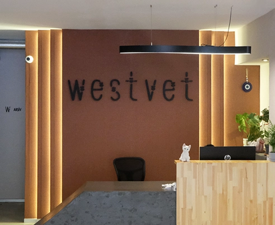 Ümitköy Veteriner