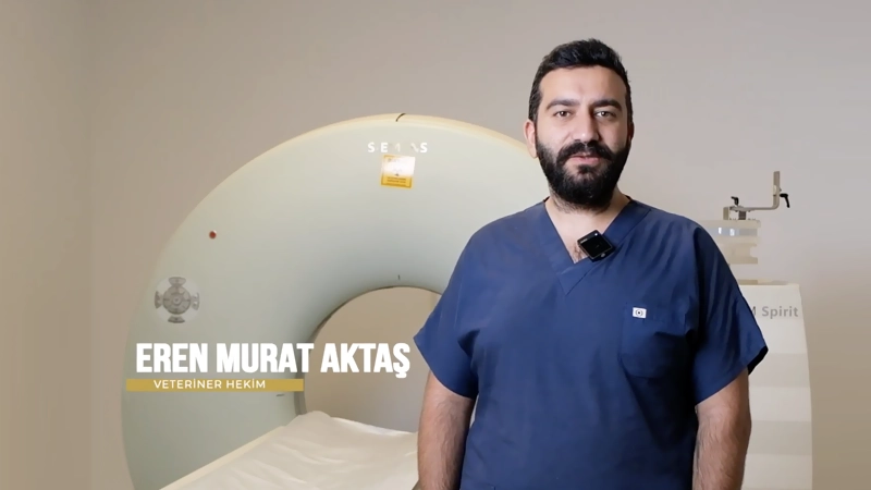 Bilgisayarlı Tomografi Hangi Alanlarda Ne Amaçla Kullanılır?